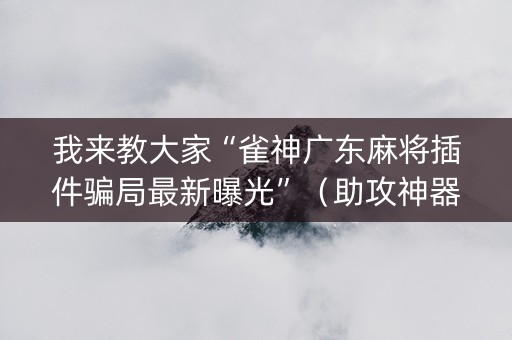 我来教大家“雀神广东麻将插件骗局最新曝光”（助攻神器)