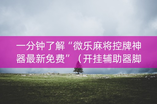 一分钟了解“微乐麻将控牌神器最新免费”（开挂辅助器脚本)