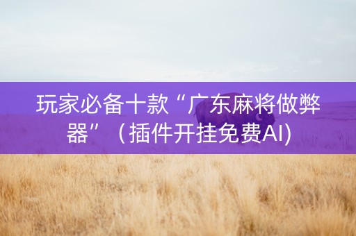 玩家必备十款“广东麻将做弊器”（插件开挂免费AI)