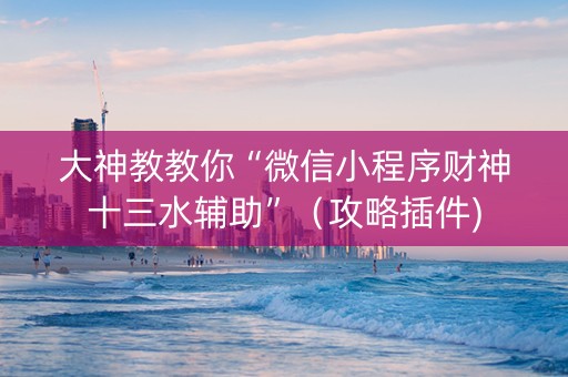 大神教教你“微信小程序财神十三水辅助”（攻略插件)