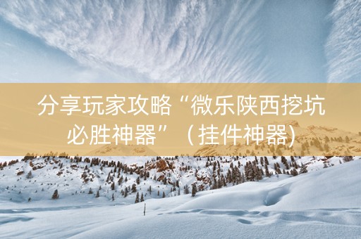 分享玩家攻略“微乐陕西挖坑必胜神器”（挂件神器)