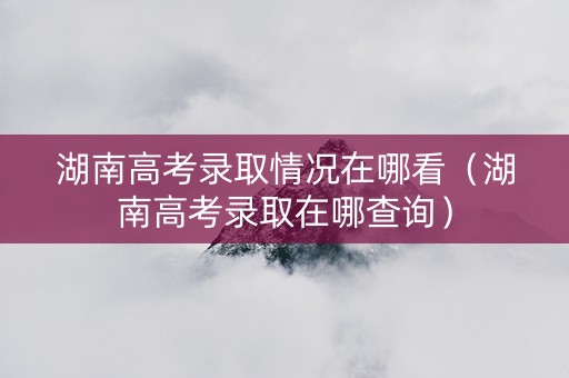 湖南高考录取情况在哪看（湖南高考录取在哪查询）