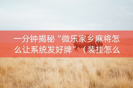 一分钟揭秘“微乐家乡麻将怎么让系统发好牌”（装挂怎么安装)