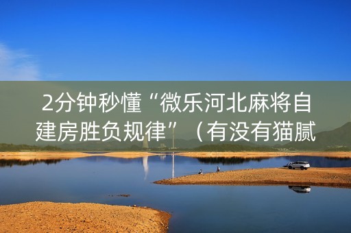 2分钟秒懂“微乐河北麻将自建房胜负规律”（有没有猫腻)