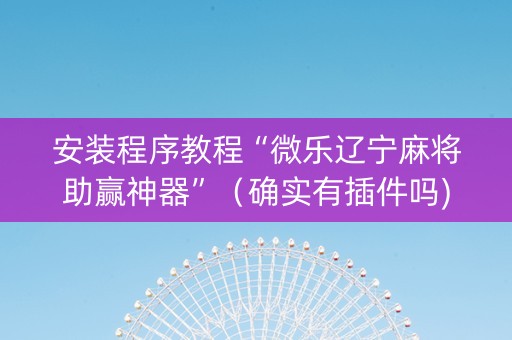 安装程序教程“微乐辽宁麻将助赢神器”（确实有插件吗)