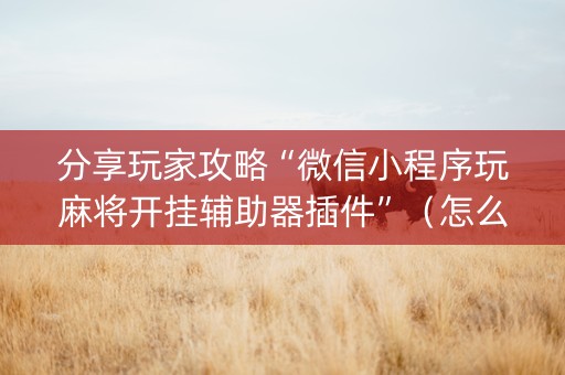 分享玩家攻略“微信小程序玩麻将开挂辅助器插件”（怎么控制输赢)
