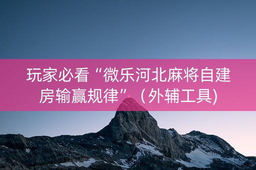 玩家必看“微乐河北麻将自建房输赢规律”（外辅工具)
