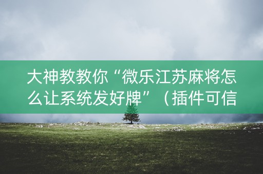 大神教教你“微乐江苏麻将怎么让系统发好牌”（插件可信吗)