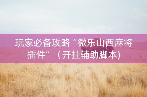 玩家必备攻略“微乐山西麻将插件”（开挂辅助脚本)