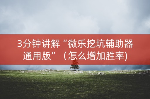3分钟讲解“微乐挖坑辅助器通用版”（怎么增加胜率)