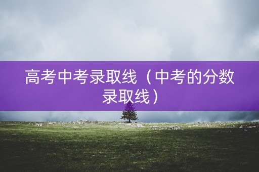 高考中考录取线（中考的分数录取线）