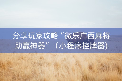 分享玩家攻略“微乐广西麻将助赢神器”（小程序控牌器)