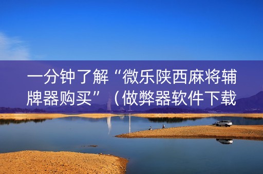 一分钟了解“微乐陕西麻将辅牌器购买”（做弊器软件下载)