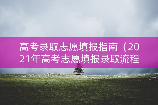 高考录取志愿填报指南（2021年高考志愿填报录取流程）