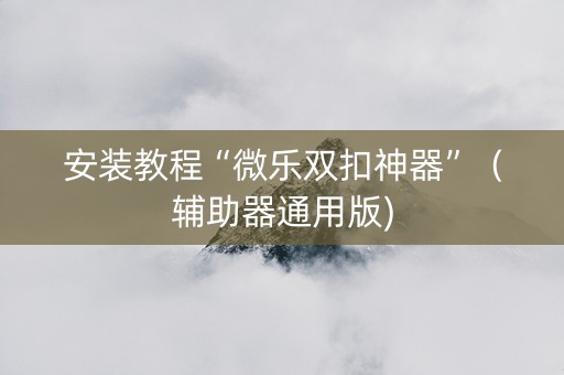 安装教程“微乐双扣神器”（辅助器通用版)
