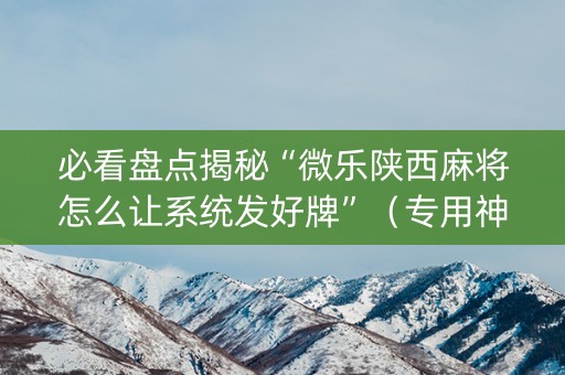 必看盘点揭秘“微乐陕西麻将怎么让系统发好牌”（专用神器)