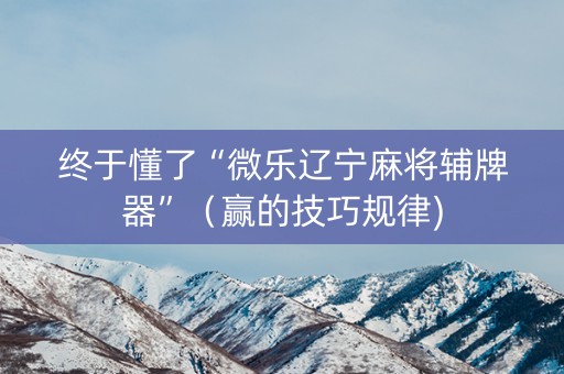 终于懂了“微乐辽宁麻将辅牌器”（赢的技巧规律)