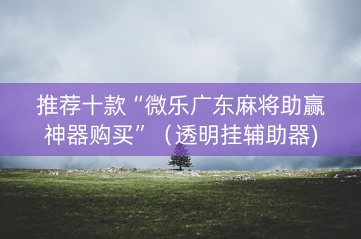 推荐十款“微乐广东麻将助赢神器购买”（透明挂辅助器)