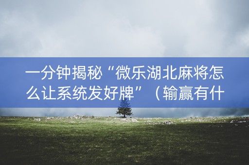 一分钟揭秘“微乐湖北麻将怎么让系统发好牌”（输赢有什么规律)