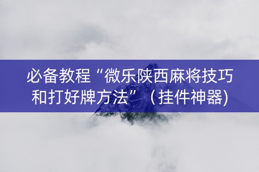 必备教程“微乐陕西麻将技巧和打好牌方法”（挂件神器)