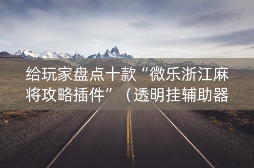 给玩家盘点十款“微乐浙江麻将攻略插件”（透明挂辅助器)