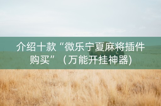 介绍十款“微乐宁夏麻将插件购买”（万能开挂神器)