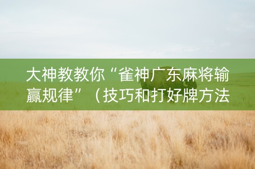 大神教教你“雀神广东麻将输赢规律”（技巧和打好牌方法)