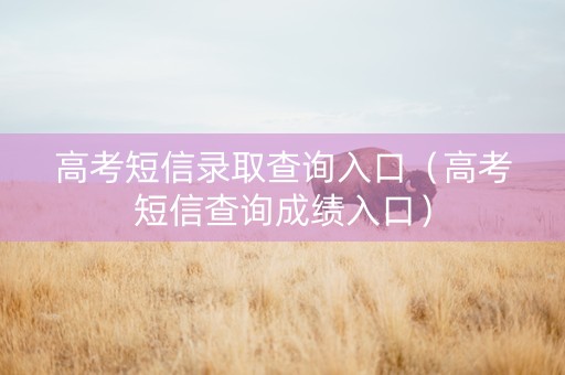高考短信录取查询入口（高考短信查询成绩入口）