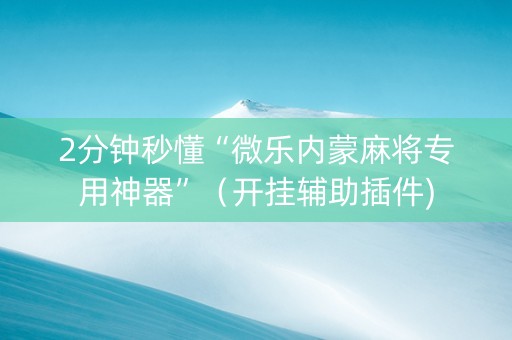 2分钟秒懂“微乐内蒙麻将专用神器”（开挂辅助插件)
