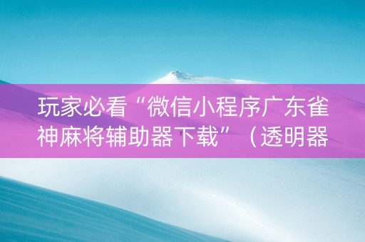 玩家必看“微信小程序广东雀神麻将辅助器下载”（透明器教程)