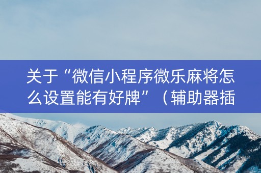 关于“微信小程序微乐麻将怎么设置能有好牌”（辅助器插件)