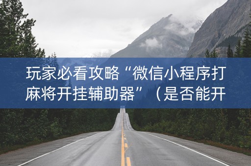 玩家必看攻略“微信小程序打麻将开挂辅助器”（是否能开挂)