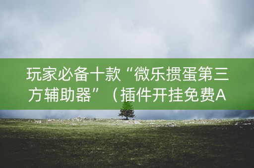 玩家必备十款“微乐掼蛋第三方辅助器”（插件开挂免费AI)