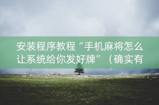 安装程序教程“手机麻将怎么让系统给你发好牌”（确实有插件吗)