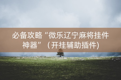 必备攻略“微乐辽宁麻将挂件神器”（开挂辅助插件)