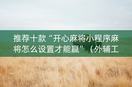 推荐十款“开心麻将小程序麻将怎么设置才能赢”（外辅工具)