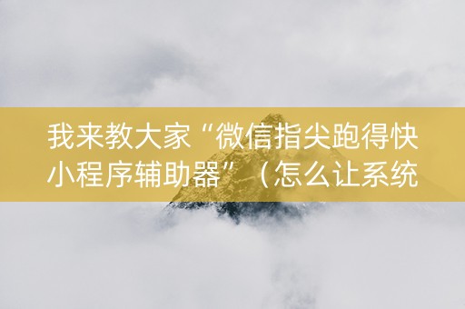 我来教大家“微信指尖跑得快小程序辅助器”（怎么让系统给自己好牌)