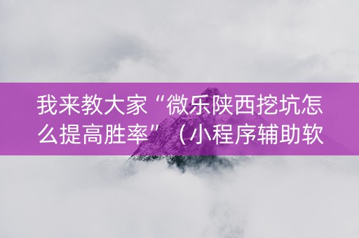 我来教大家“微乐陕西挖坑怎么提高胜率”（小程序辅助软件)