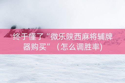 终于懂了“微乐陕西麻将辅牌器购买”（怎么调胜率)
