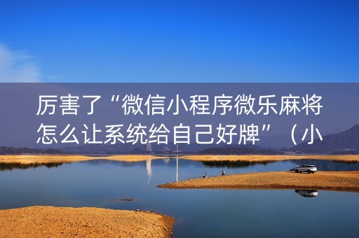 厉害了“微信小程序微乐麻将怎么让系统给自己好牌”（小程序控牌器)