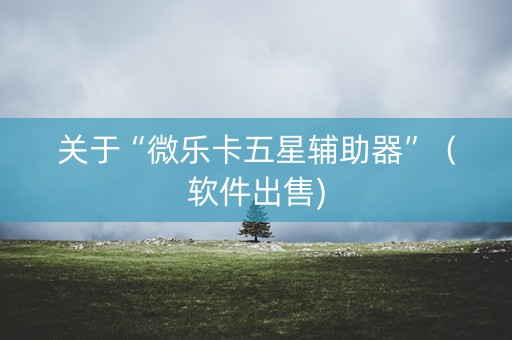 关于“微乐卡五星辅助器”（软件出售)