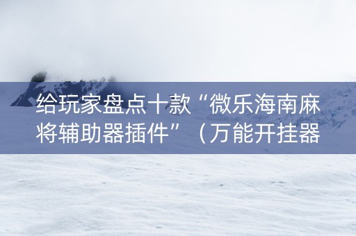 给玩家盘点十款“微乐海南麻将辅助器插件”（万能开挂器)