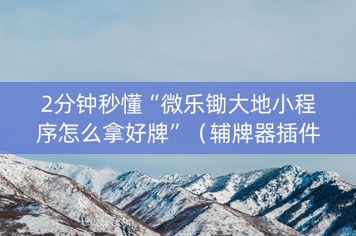 2分钟秒懂“微乐锄大地小程序怎么拿好牌”（辅牌器插件购买)
