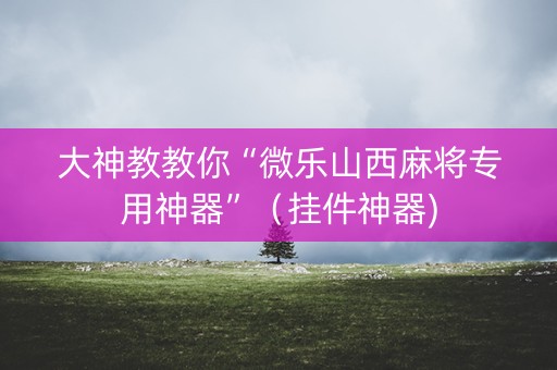 大神教教你“微乐山西麻将专用神器”（挂件神器)