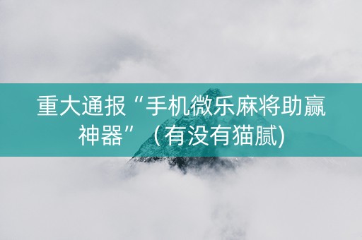 重大通报“手机微乐麻将助赢神器”（有没有猫腻)
