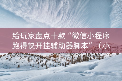 给玩家盘点十款“微信小程序跑得快开挂辅助器脚本”（小程序辅助软件)