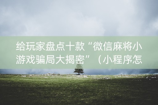 给玩家盘点十款“微信麻将小游戏骗局大揭密”（小程序怎么才会赢)