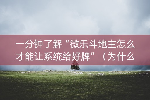 一分钟了解“微乐斗地主怎么才能让系统给好牌”（为什么有人一直赢)