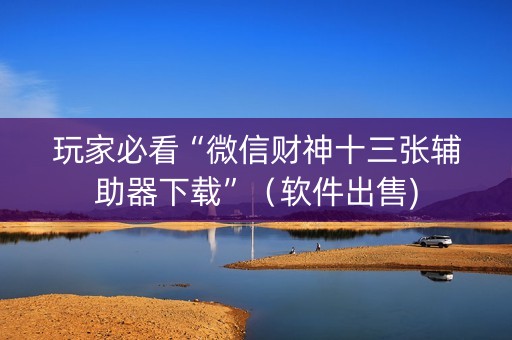 玩家必看“微信财神十三张辅助器下载”（软件出售)