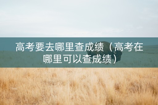 高考要去哪里查成绩（高考在哪里可以查成绩）